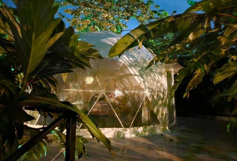 Люкс, Palo Alto Glamping