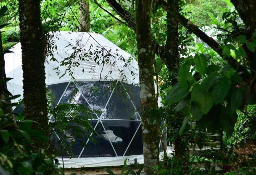 Люкс, Palo Alto Glamping