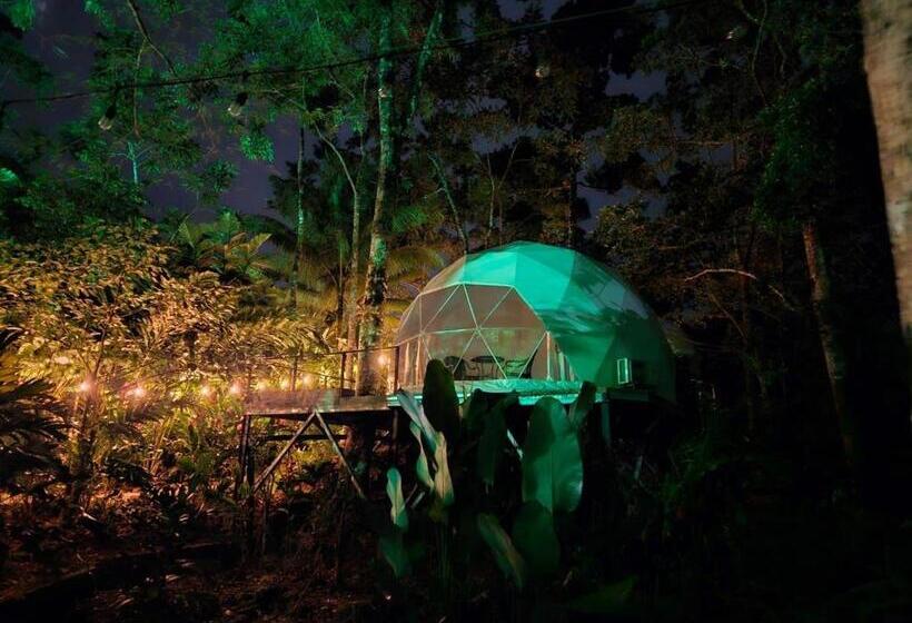 Люкс, Palo Alto Glamping