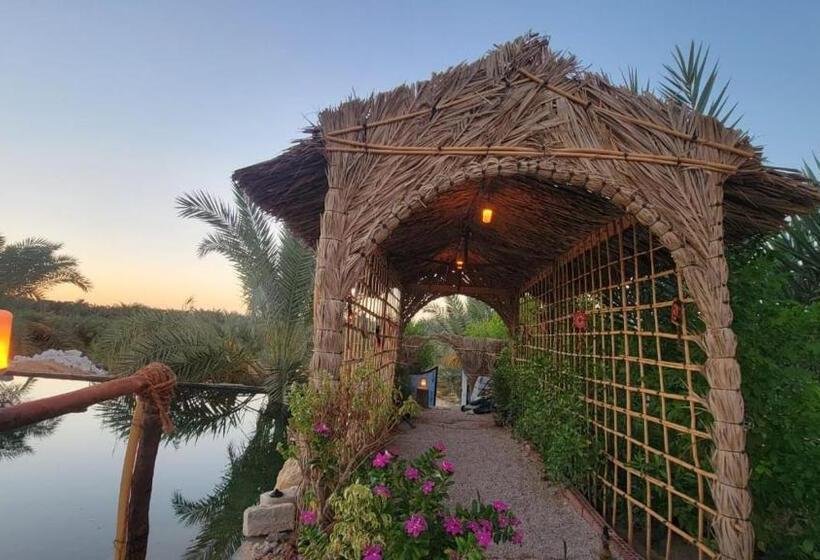 اتاق لوکس, Siwa Garden House
