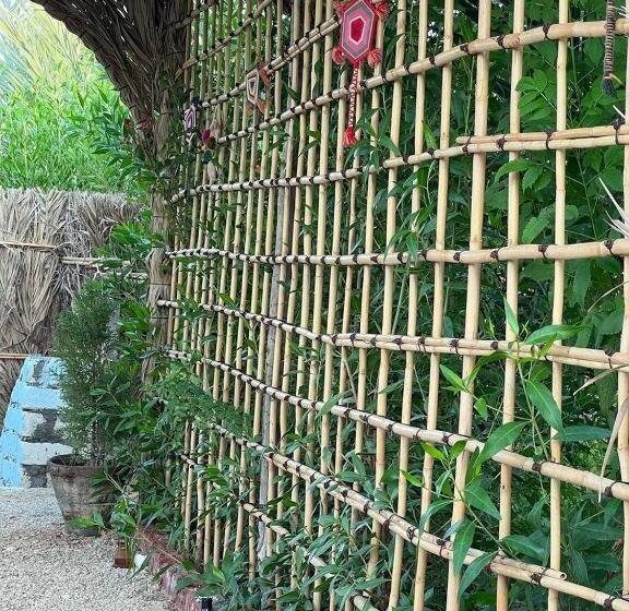 اتاق لوکس, Siwa Garden House