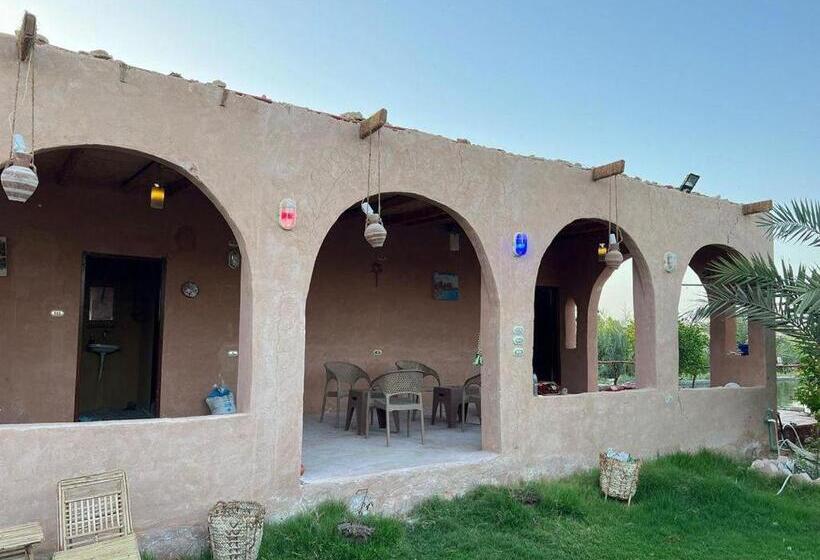 اتاق لوکس, Siwa Garden House