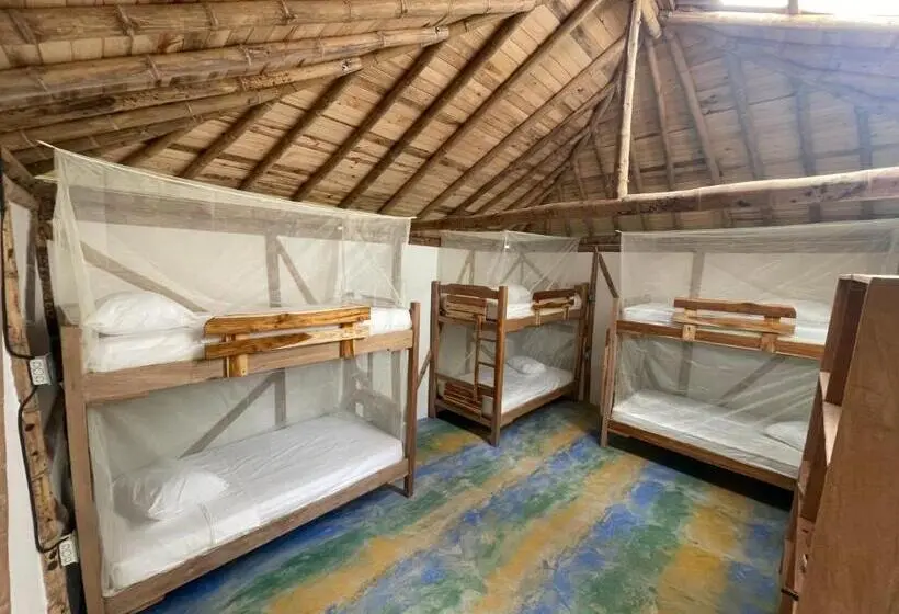 ルームシェアのワンベッド, Casa Wago