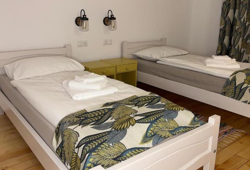 标准间, Casa De Oaspeți Vulcan