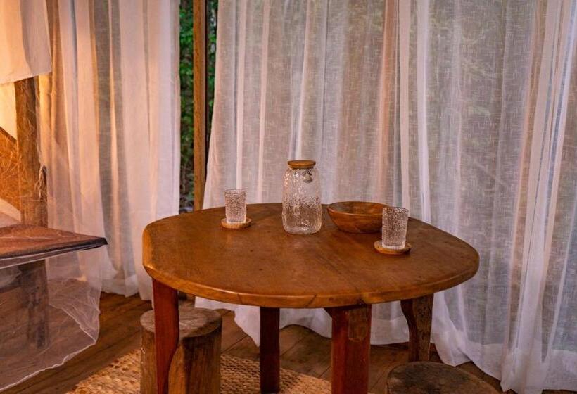 Номер Стандарт Вид на Сад, Aparthotel Ayahuaska For Solo Travelers