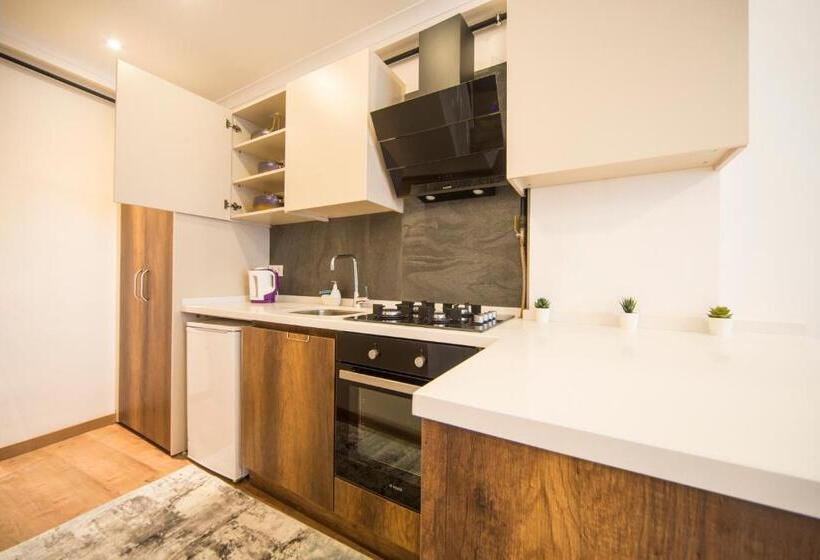 带1个卧室的高级公寓, Saygın Apartments