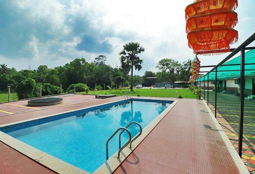 غرفة قياسية, Light House Beach Resort