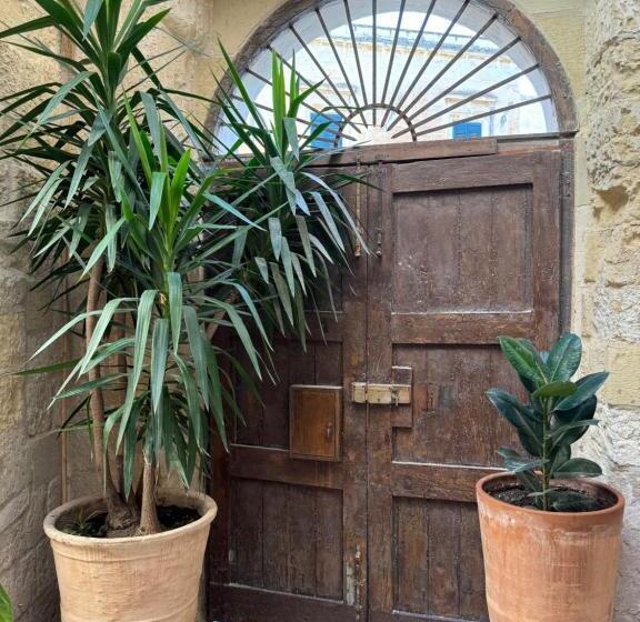 سوییت جونیور, Luleccio