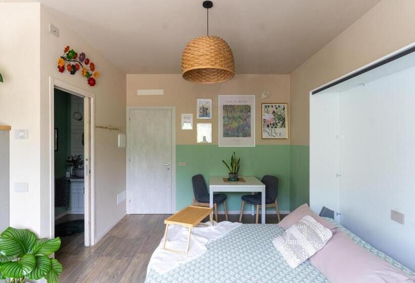 Номер Стандарт, Amagi Home