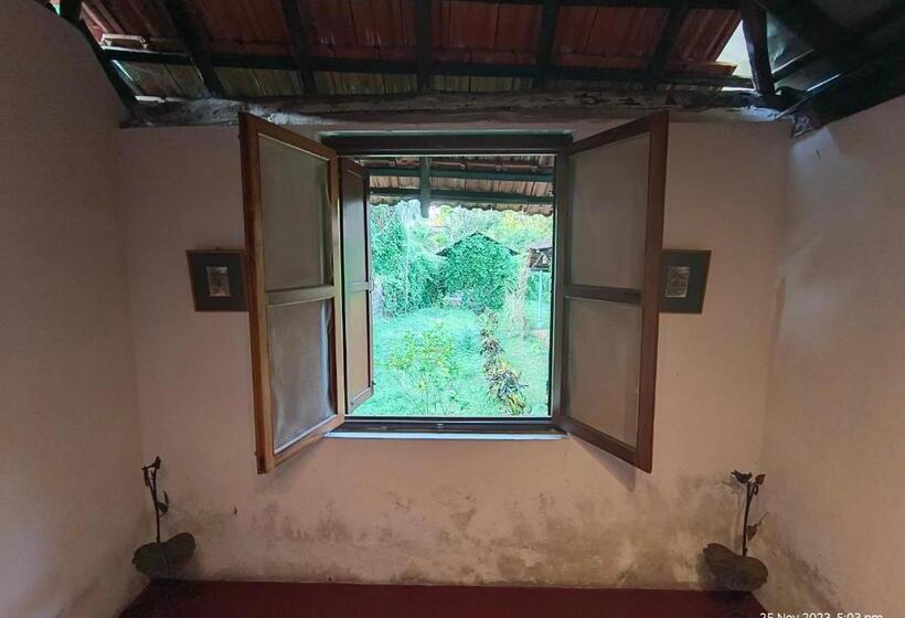 标准房带园景, Heritage House : The Honeymooners Houstel