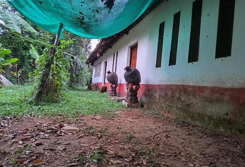 חדר סטנדרט נוף לגינה, Heritage House : The Honeymooners Houstel