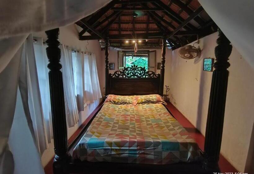 חדר סטנדרט נוף לגינה, Heritage House : The Honeymooners Houstel