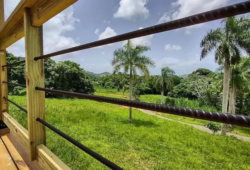 اتاق استاندارد با چشم‌انداز کوهستان, Tierra Adentro Bed And Breakfast