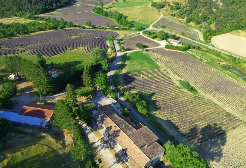 غرفة قياسية مزوَّدة بتراس, Auberge De Miélandre