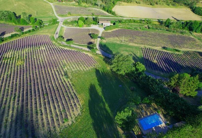غرفة قياسية مزوَّدة بتراس, Auberge De Miélandre