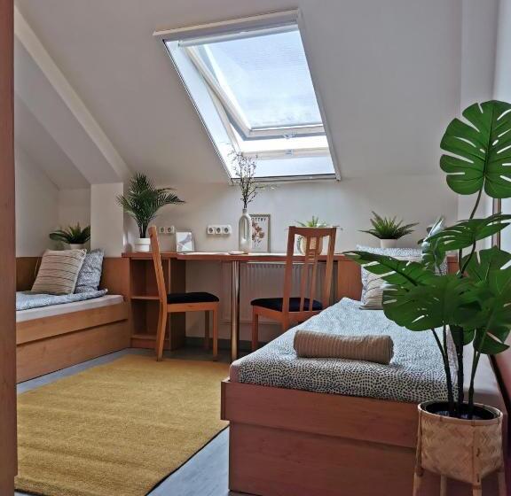 스탠다드 룸, Híd Ifjúsági Szálló