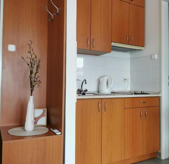 침실 1개 아파트, Híd Ifjúsági Szálló