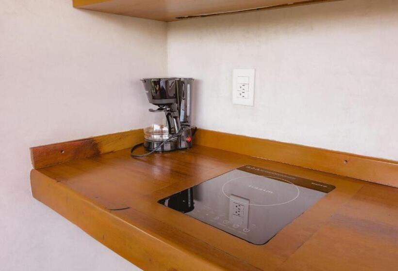 إستوديو قياسى مطل على البحر, Aldea Mizúl