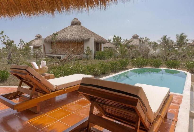 إستوديو قياسى سرير كينج, Aldea Mizúl