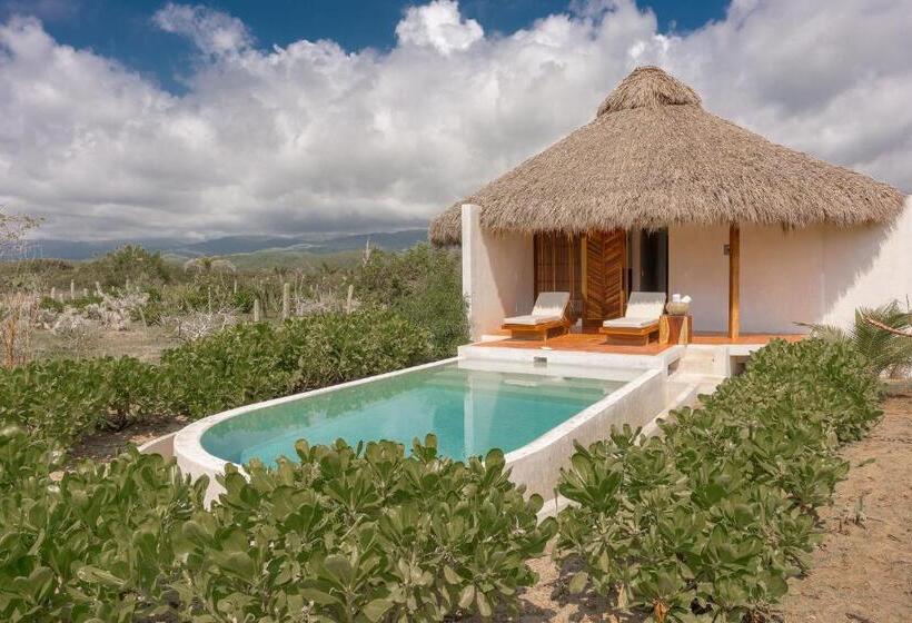 إستوديو قياسى سرير كينج, Aldea Mizúl