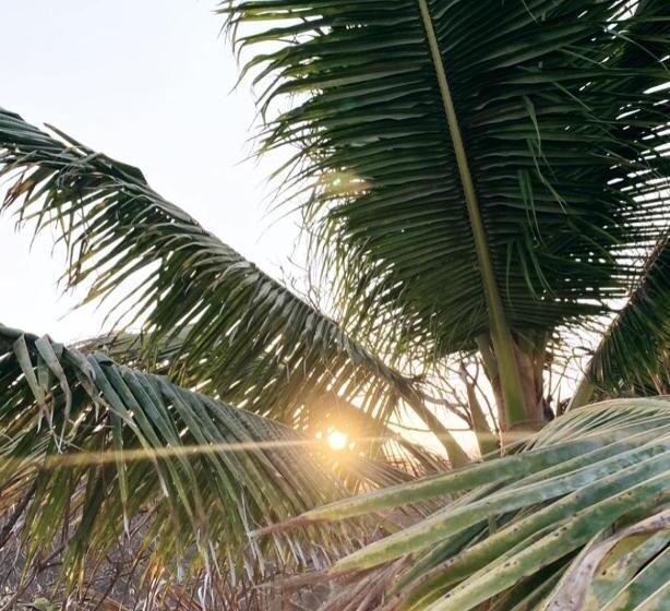 غرفة قياسية رباعية مطلة على الحديقة, Bungalows Punta Conejo