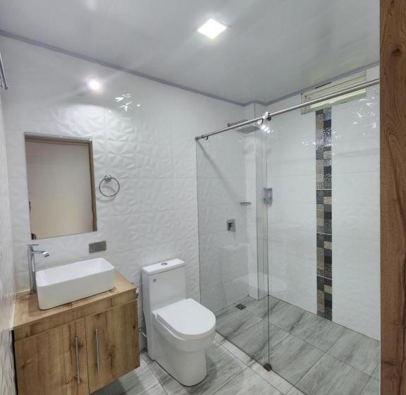 Номер Стандарт, Nelumbo