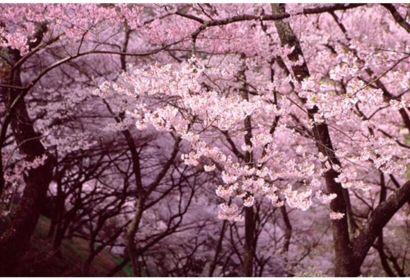 استودیوی استاندارد, Isawa Onsen Hotel Kakyo   Vacation Stay 90651v