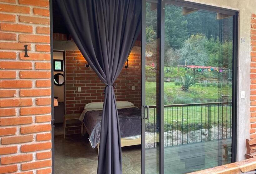 标准间, Hostal La Roca