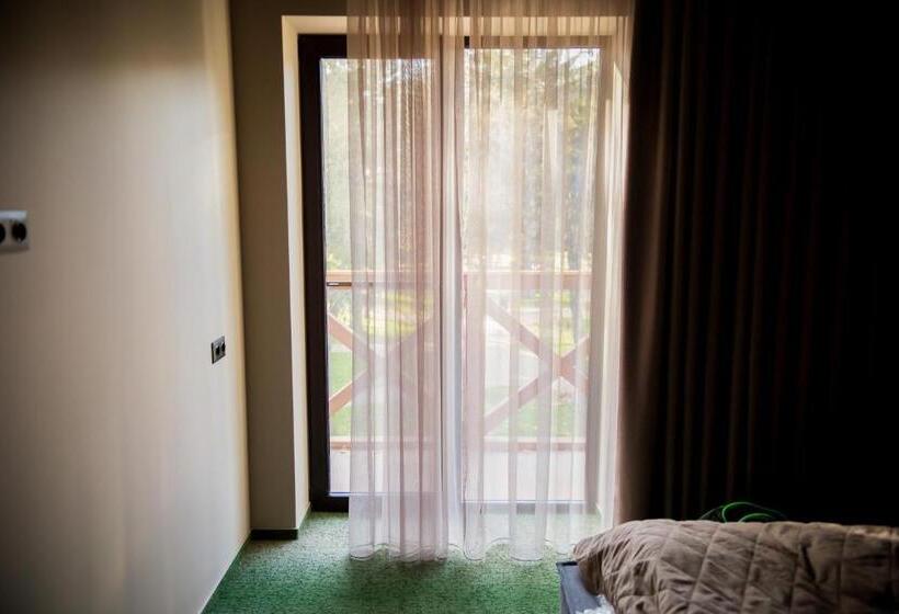 スタンダードルーム, база відпочинку «зелений гай»