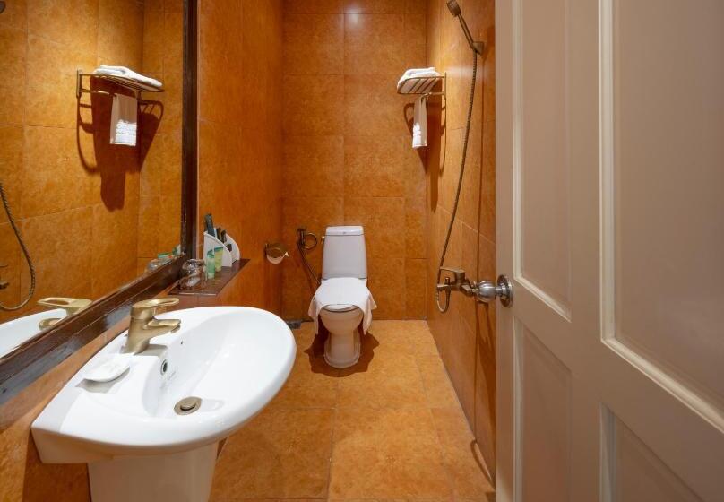 اتاق لوکس یک تخته, Hidden Mansions Saigon Resort