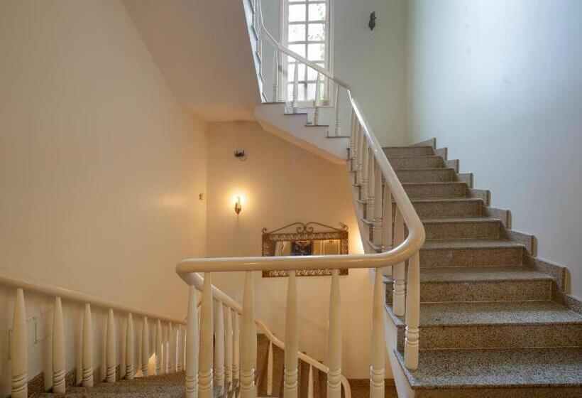 ویلای 1 خوابه با چشم‌انداز باغ, Hidden Mansions Saigon Resort