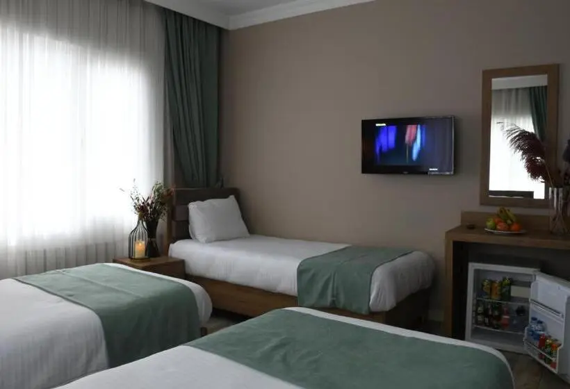 Standard Kolmen Hengen Huone, Cibali Hotel Istanbul