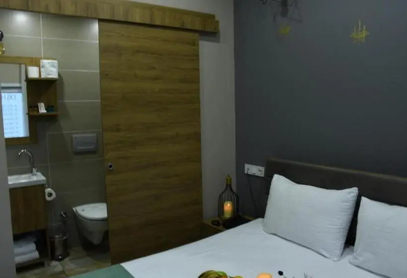 Standard Yhden Hengen Huone, Cibali Hotel Istanbul
