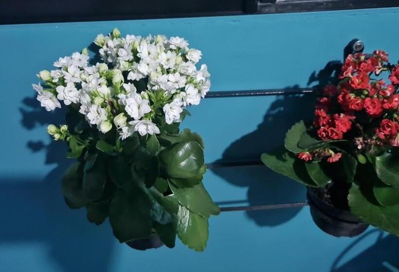 标准间, Pousada D’san Shower & Bed