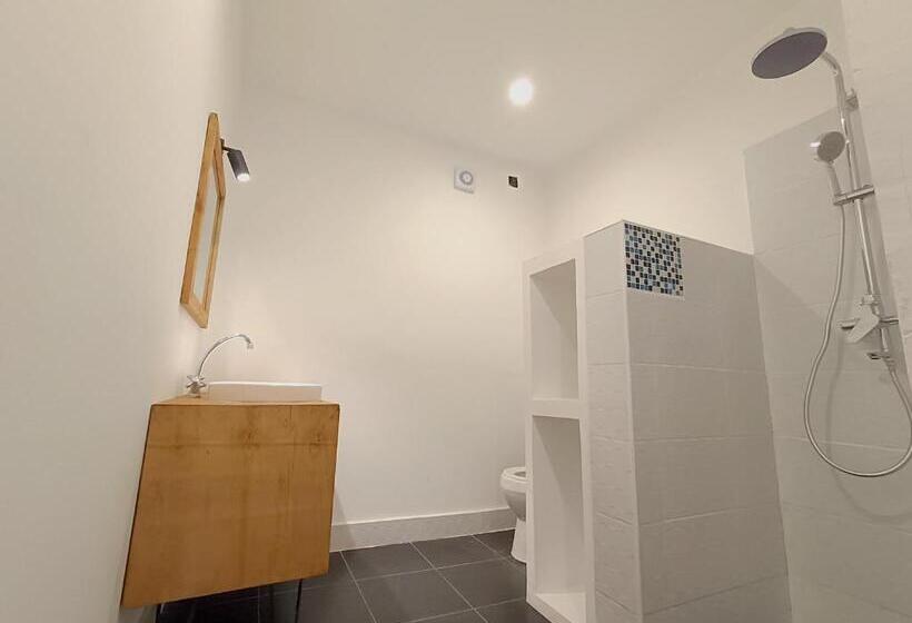 استودیوی استاندارد, Skippers Adults Only