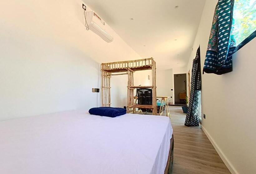 استودیوی استاندارد, Skippers Adults Only