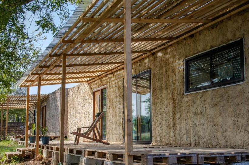 استودیوی استاندارد, Skippers Adults Only