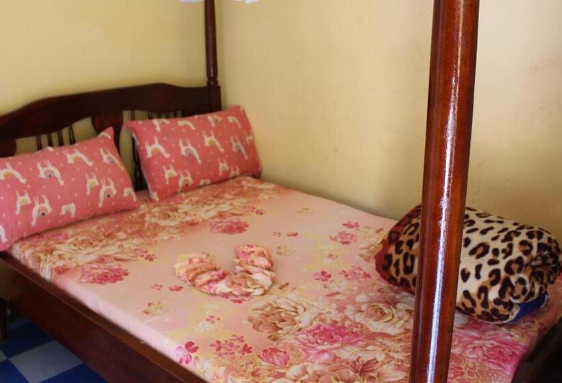 اتاق لوکس, Joyed 3 Motel