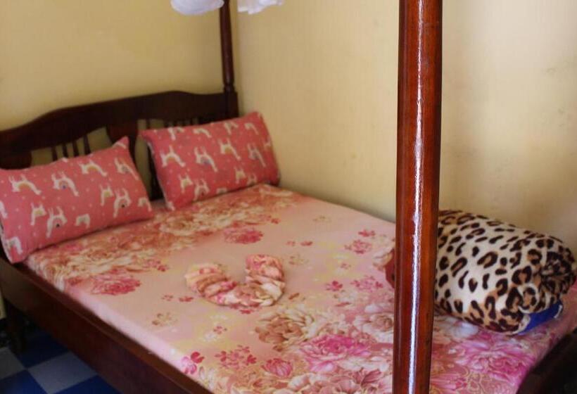 اتاق اکونومی یک تخته, Joyed 3 Motel