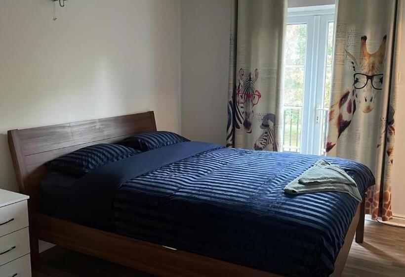 スタンダードルーム, Rahal Concord