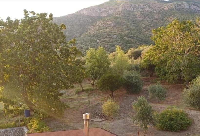 マウンテンビュースタンダードルーム, Bed And Breakfast Grotta Dell Olio