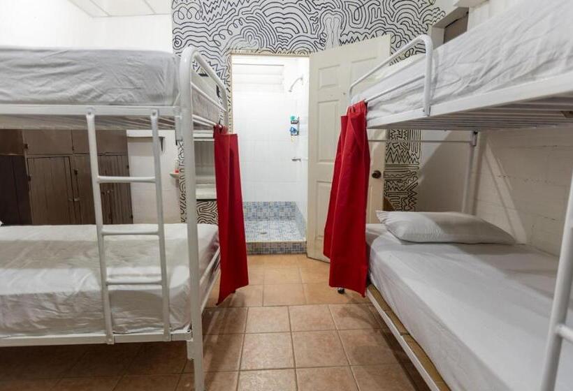 Кровать в Общей Комнате, Hostel Saltwater