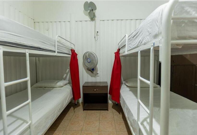 מיטה בחדר משותף, Hostel Saltwater