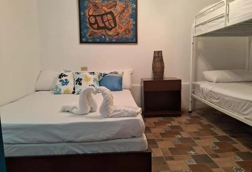 Standard Neljän Hengen Huone, Hostel Saltwater
