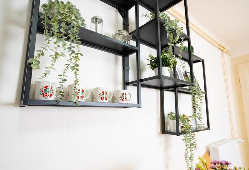 اتاق استاندارد, White Wolf House Hostel & Apartments