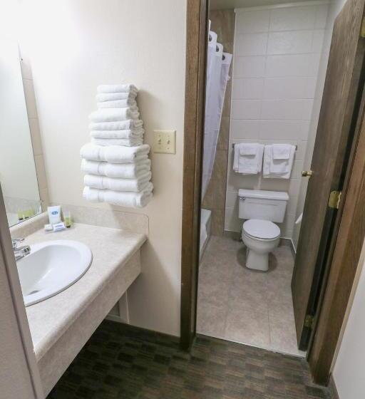 基本三人间, Bear Lodge Motel