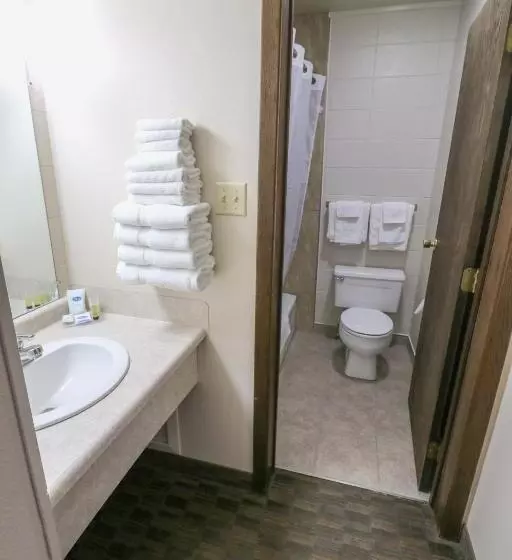 ベーシックトリプルルーム, Bear Lodge Motel