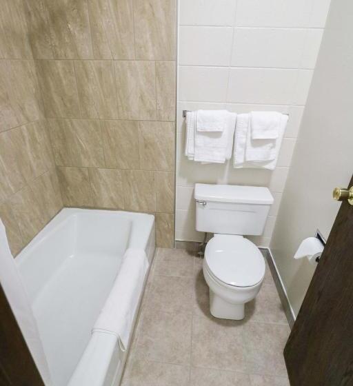 Трехместный Номер Базовый, Bear Lodge Motel