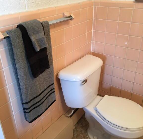 جناح جونيور مطل على الحديقة, Big Bear Lodge