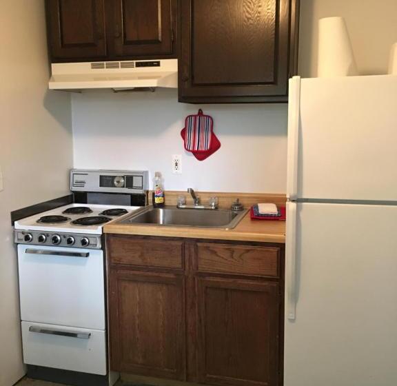 شقة غرفة واحدة, Big Bear Lodge